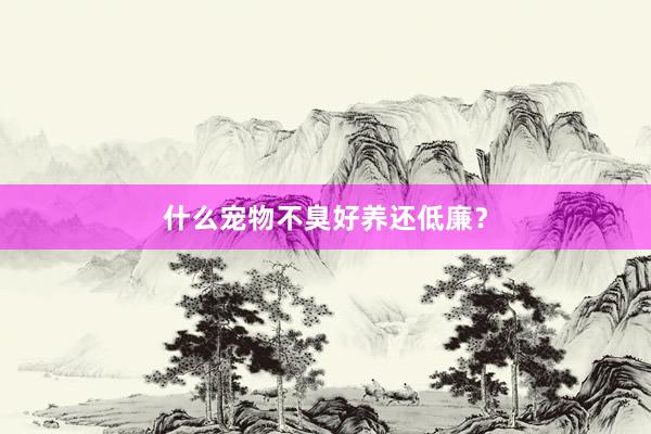 什么宠物不臭好养还低廉？